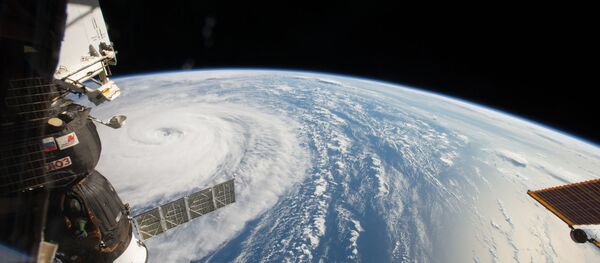 Dünya - Sputnik Türkiye