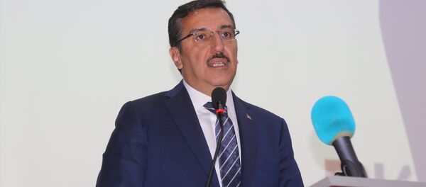 Gümrük ve Ticaret Bakanı Bülent Tüfenkci - Sputnik Türkiye