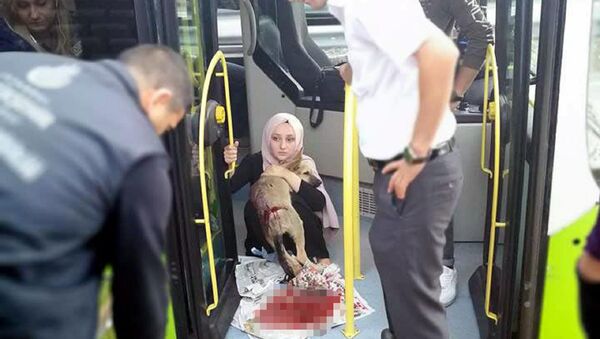 Köpeğe çarpan belediye otobüsü şoförü Eren Karadaş - Sputnik Türkiye