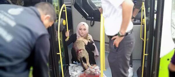 Köpeğe çarpan belediye otobüsü şoförü Eren Karadaş - Sputnik Türkiye