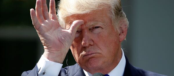 ABD Başkanı Donald Trump - Sputnik Türkiye