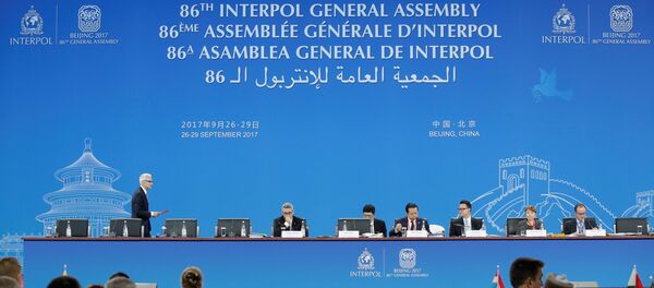 Interpol - Sputnik Türkiye
