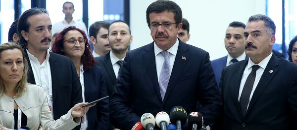 Ekonomi Bakanı Nihat Zeybekci - Sputnik Türkiye