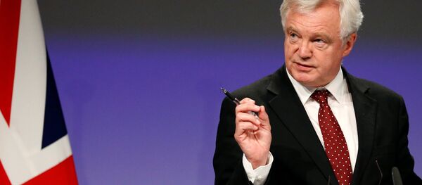 İngiltere'nin Brexit Bakanı David Davis - Sputnik Türkiye