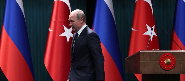 Rusya Devlet Başkanı Vladimir Putin - Sputnik Türkiye