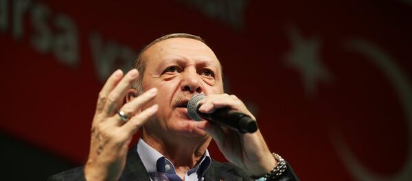 Cumhurbaşkanı Recep Tayyip Erdoğan - Sputnik Türkiye