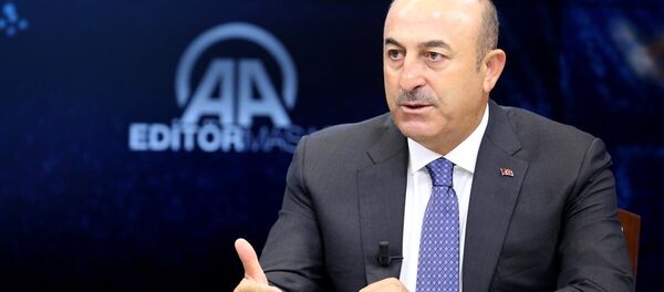 Dışişleri Bakanı Mevlüt Çavuşoğlu - Sputnik Türkiye