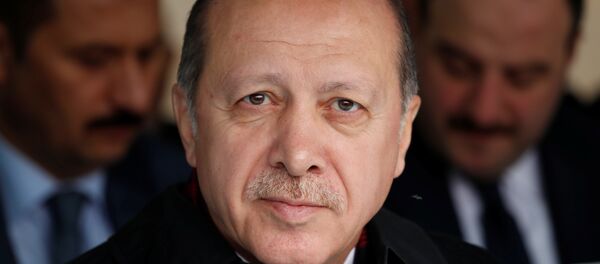 Türkiye Cumhurbaşkanı Recep Tayyip Erdoğan - Sputnik Türkiye