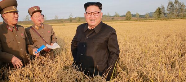 Kuzey Kore lideri Kim Jong-un - Sputnik Türkiye