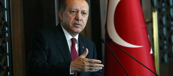 Cumhurbaşkanı Recep Tayyip Erdoğan - Sputnik Türkiye