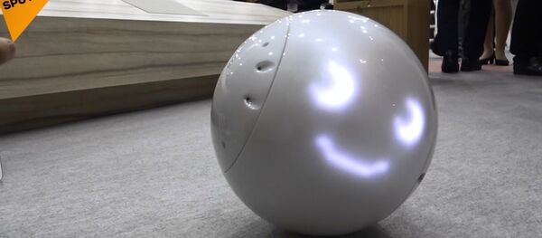 Japonya'da çocuk bakıcısı robot tanıtıldı - Sputnik Türkiye