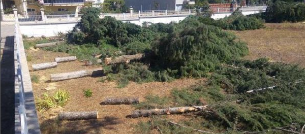 Acıpayam - Denizli - Sputnik Türkiye