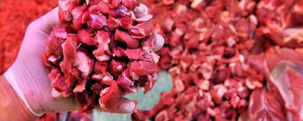 Kırmızı et - Sputnik Türkiye