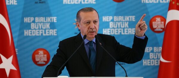 Cumhurbaşkanı Recep Tayyip Erdoğan - Sputnik Türkiye