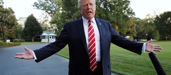 ABD Başkanı Donald Trump - Sputnik Türkiye