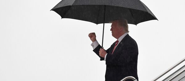 ABD Başkanı Donald Trump - Sputnik Türkiye