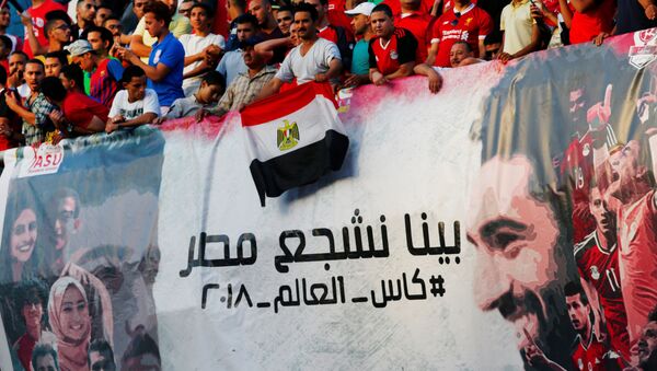 Mısır 1990'dan beri ilk kez Dünya Kupası'nda - Sputnik Türkiye