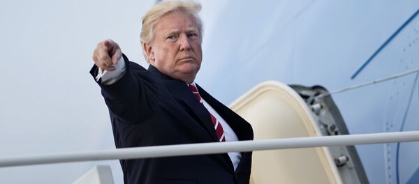 ABD Başkanı Donald Trump - Sputnik Türkiye
