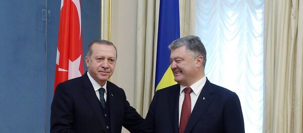 Cumhurbaşkanı Recep Tayyip Erdoğan ve Ukrayna Devlet Başkanı Petro Poroşenko - Sputnik Türkiye