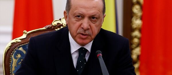 Cumhurbaşkanı Recep Tayyip Erdoğan, Ukrayna'da - Sputnik Türkiye