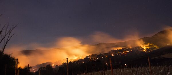 Kaliforniya'da yangın - Sputnik Türkiye