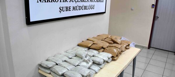 Diyarbakır'da bir kamyonda uyuşturucu ele geçirildi - Sputnik Türkiye