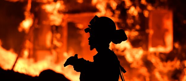 Kuzey Kaliforniya'daki yangınlar büyüyor - Sputnik Türkiye