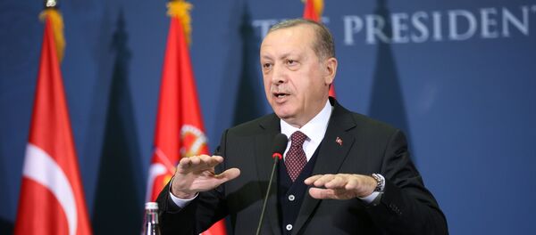 Cumhurbaşkanı Recep Tayyip Erdoğan, Sırbistan'da Cumhurbaşkanı Recep Tayyip Erdoğan, Sırbistan'da - Sputnik Türkiye