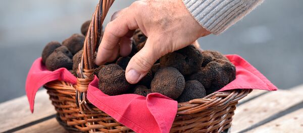 Mantar - Sputnik Türkiye