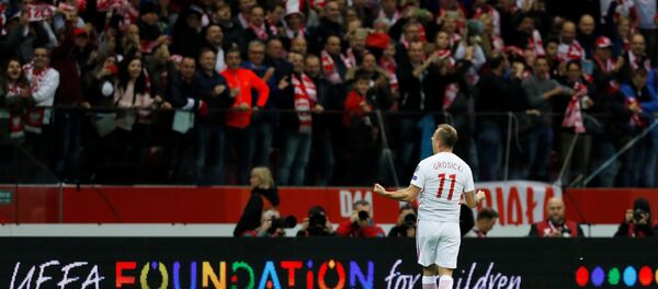 Polonyalı taraftarlar - Sputnik Türkiye