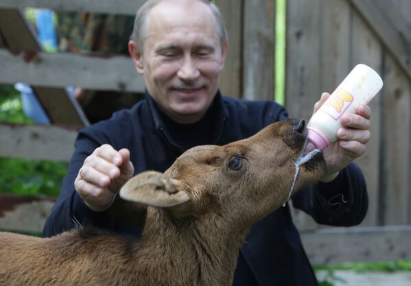 Vladimir Putin ve hayvan dünyası - Sputnik Türkiye