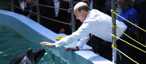 Vladimir Putin - Sputnik Türkiye