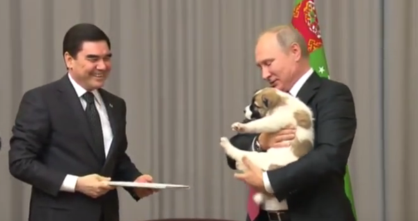Türkmenistan Devlet Başkanı Gurbanguli Berdimuhamedov, 7 Ekim’de 65. yaşına giren Rusya Devlet Başkanı Vladimir Putin’e yavru bir alabay cinsi köpek hediye etti. Türkmenistan Devlet Başkanı Gurbanguli Berdimuhamedov, 7 Ekim’de 65. yaşına giren Rusya Devlet Başkanı Vladimir Putin’e yavru bir alabay cinsi köpek hediye etti. - Sputnik Türkiye