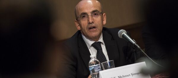 Başbakan Yardımcısı Mehmet Şimşek - Sputnik Türkiye