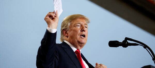 ABD Başkanı Donald Trump - Sputnik Türkiye