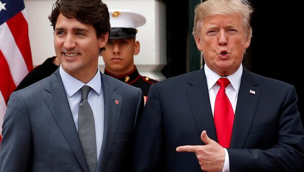 Kanada Başbakanı Justin Trudeau-ABD Başkanı Donald Trump - Sputnik Türkiye