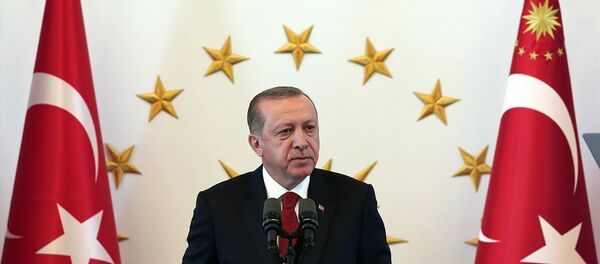 Cumhurbaşkanı Recep Tayyip Erdoğan - Sputnik Türkiye