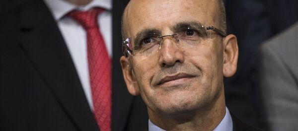 Başbakan Yardımcısı Mehmet Şimşek - Sputnik Türkiye