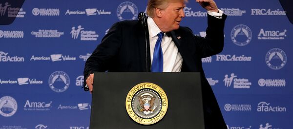 ABD Başkanı Donald Trump - Sputnik Türkiye