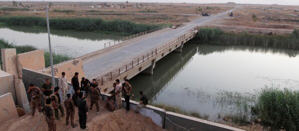 Peşmerge- Haşdi Şabi - Sputnik Türkiye