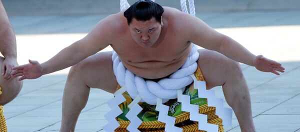 Sumo - Sputnik Türkiye
