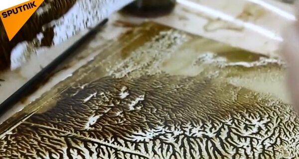 Rusya'da petrol ile resim yapma dersleri - Sputnik Türkiye