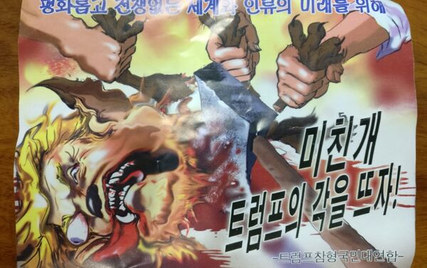 Kuzey Kore-Kuzey Kore'den Güney Kore'ye balonlarla yollanan propaganda afişlerinden birinde ABD Başkanı Donald Trump'ın karikatürünün altında Savaşsız, huzurlu bir dünya ve insanlığın geleceği için kuduz köpek Trump'ı öldürün yazıyor. - Sputnik Türkiye