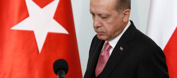 Cumhurbaşkanı Recep Tayyip Erdoğan - Sputnik Türkiye