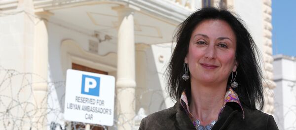 Maltalı gazeteci Daphne Caruana Galizia Maltalı gazeteci Daphne Caruana Galizia - Sputnik Türkiye