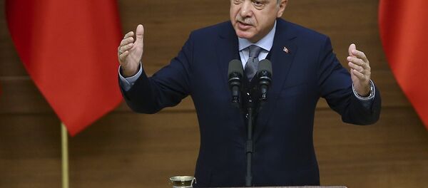 Cumhurbaşkanı Recep Tayyip Erdoğan - Sputnik Türkiye