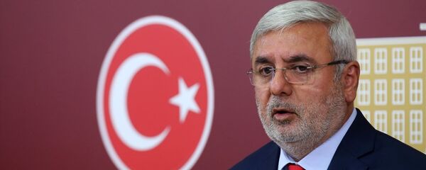 AK Parti İstanbul Milletvekili Mehmet Metiner AK Parti İstanbul Milletvekili Mehmet Metiner - Sputnik Türkiye