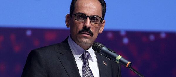 Cumhurbaşkanlığı Sözcüsü İbrahim Kalın - Sputnik Türkiye