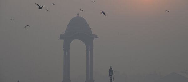 Çevre kirliliği - Sputnik Türkiye