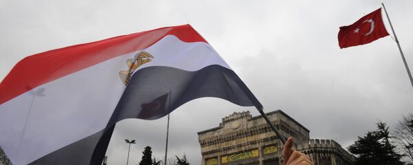 Mısır-Türkiye bayrakları - Sputnik Türkiye